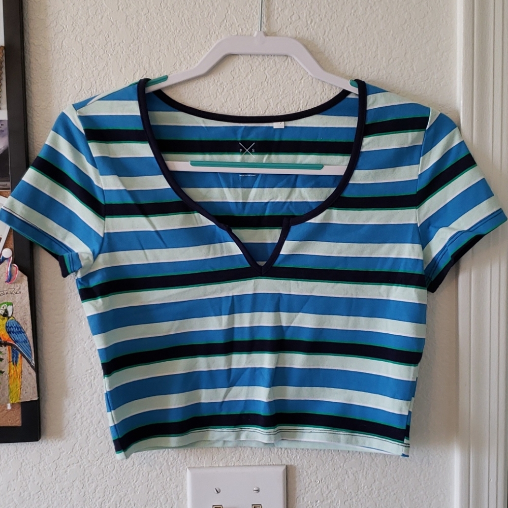Crop top from Pacsun